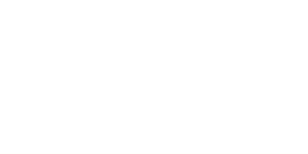 에이스 카지노 logo